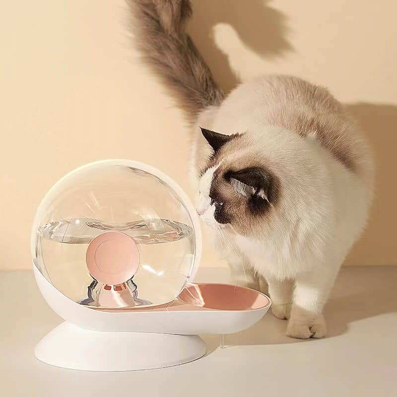 Fontaine à eau rose en forme d'escargot pour chat