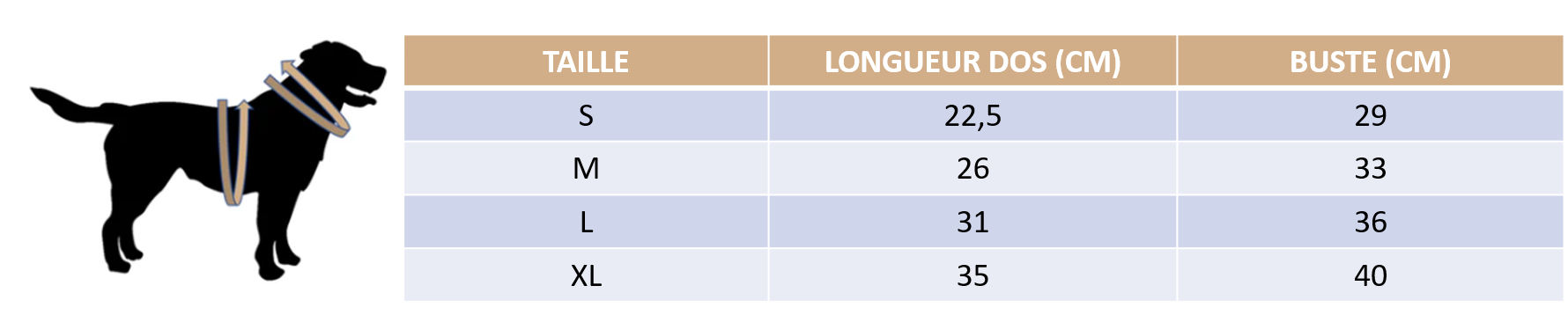 Guide des tailles de notre vêtement de stérilisation anti-léchage pour chat