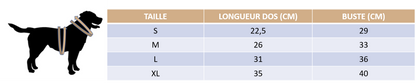 Guide des tailles de notre vêtement de stérilisation anti-léchage pour chat