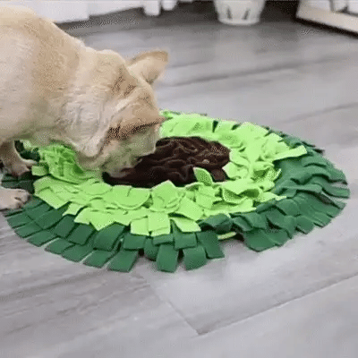 Chien entrain d'utiliser un tapis de fouille en forme d'avocat pour chien