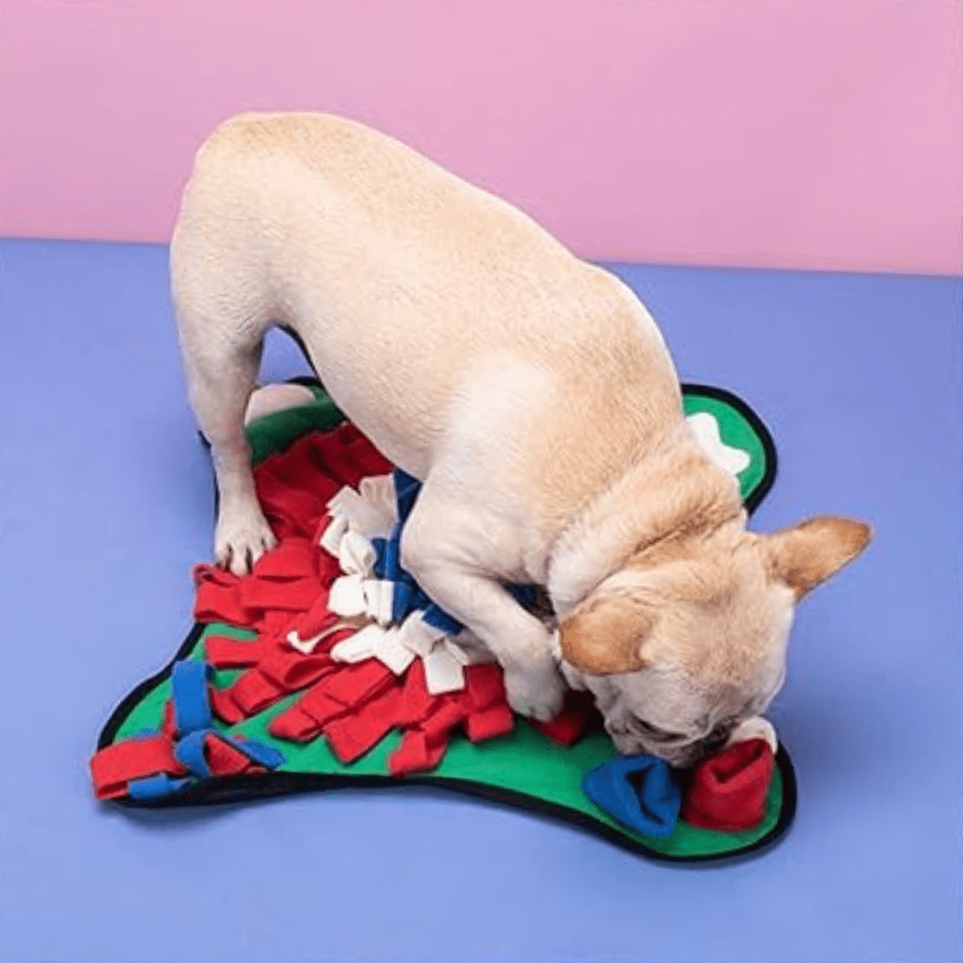 Tapis de fouille pour chien Cake avec surface anti-dérapante