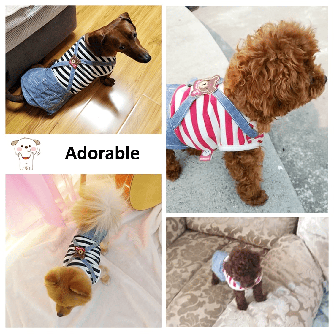 Chiens avec une salopette