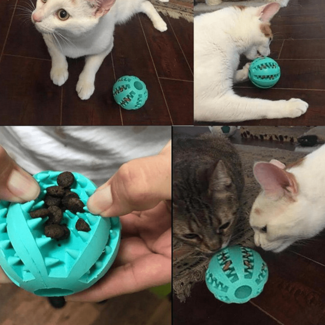 Balle dentaire et à friandise pour chien