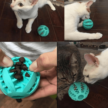 Balle dentaire et à friandise pour chien