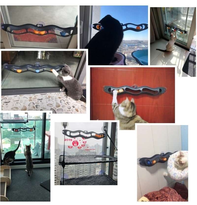 Tests clients de BWave™ : Jouet de balle avec ventouse pour chat