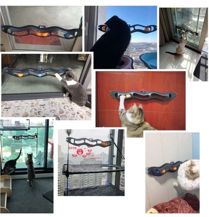 Tests clients de BWave™ : Jouet de balle avec ventouse pour chat