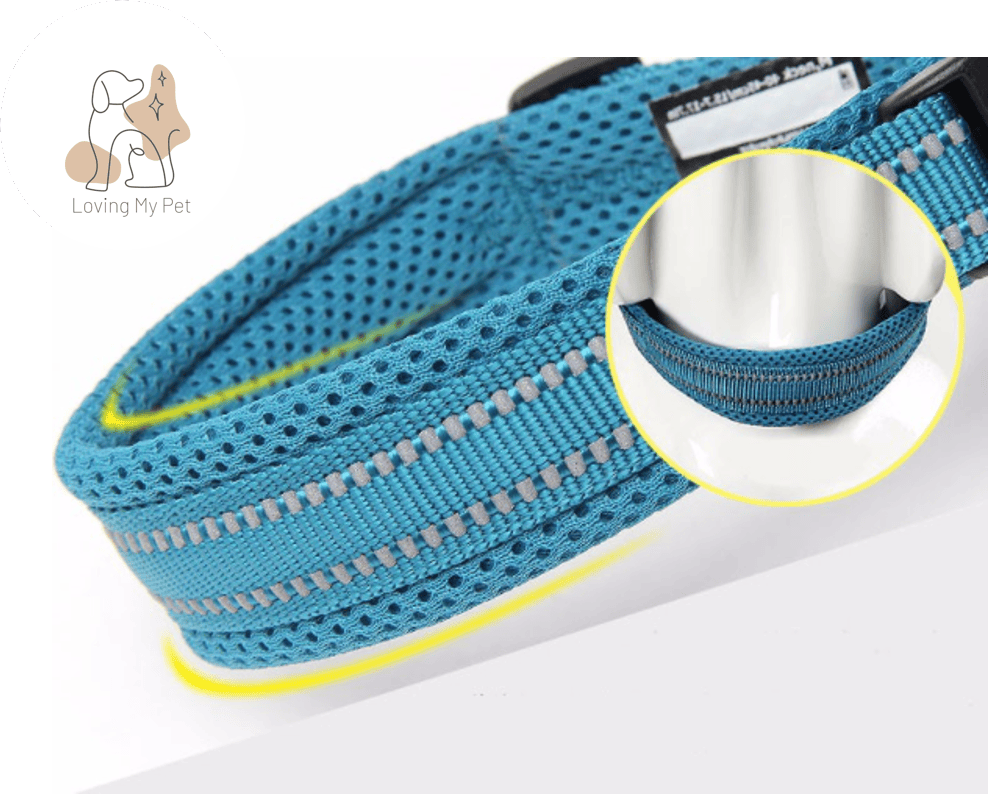 Collier en nylon pour chien