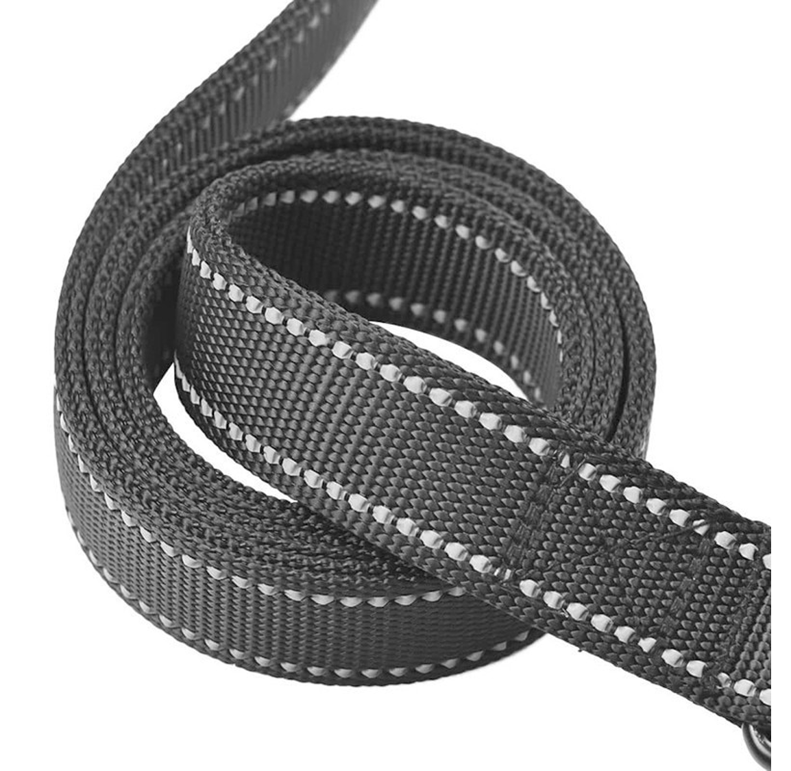 laisse double poignée solide pour chien