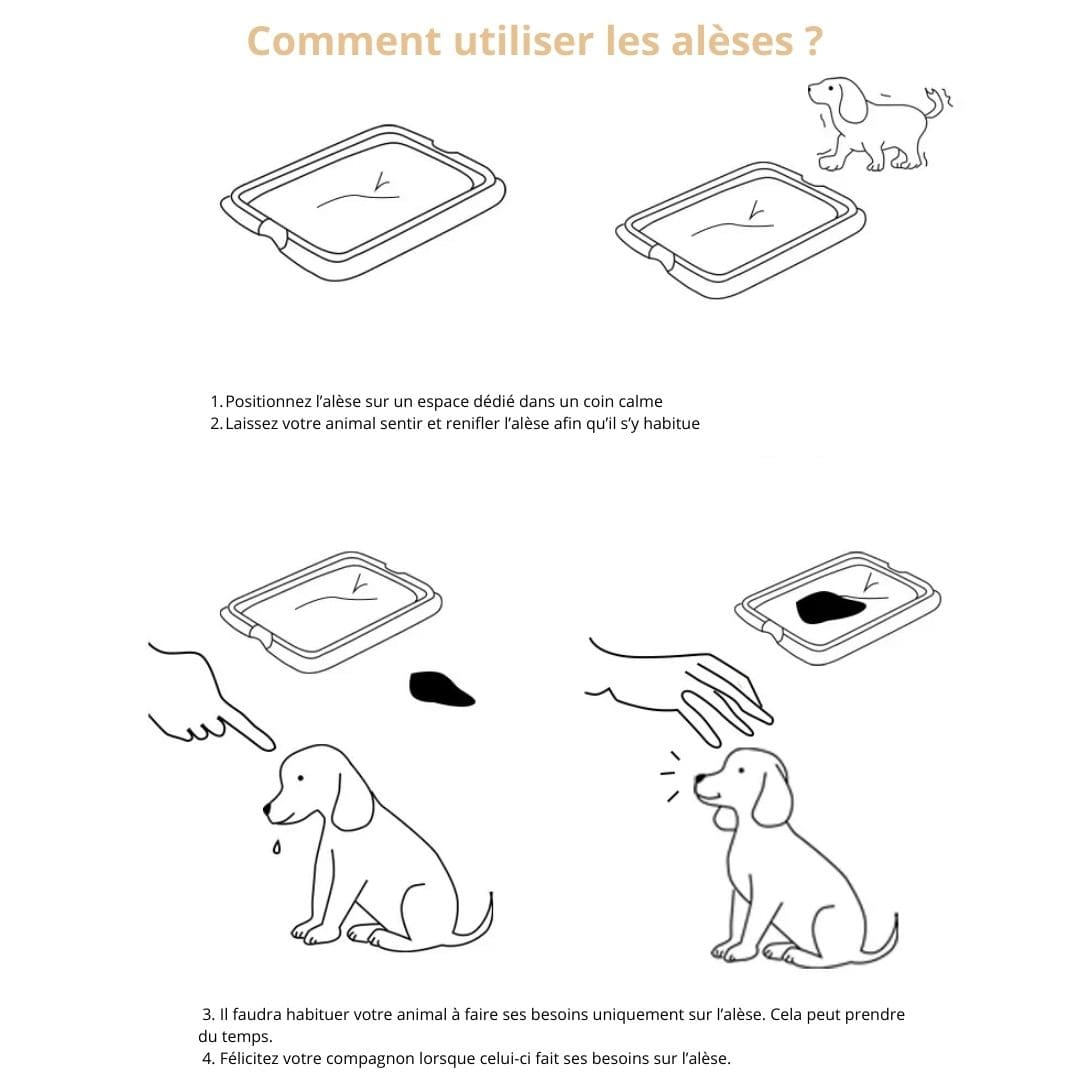 Utilisation de nos alèses pour chien