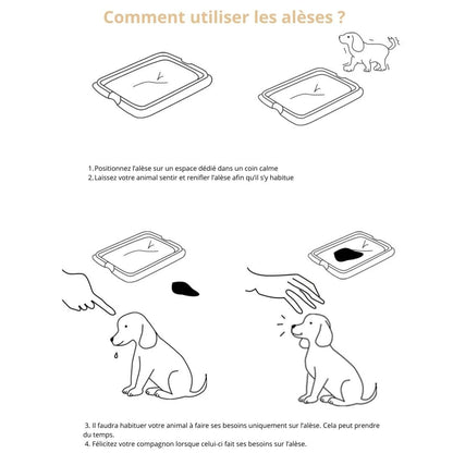Utilisation de nos alèses pour chien
