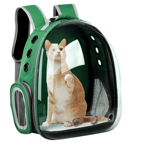 Sac à dos de transport vert pour chien et chat