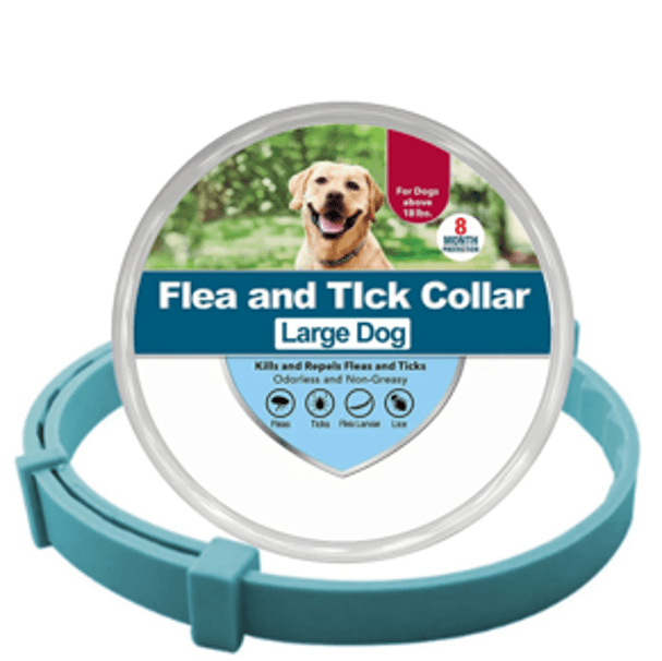 Collier anti-puces et anti-tiques vert L pour chien