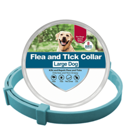 Collier anti-puces et anti-tiques vert L pour chien