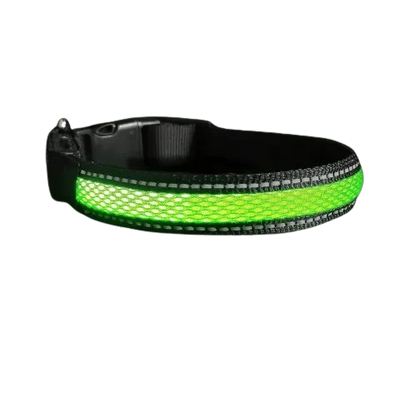 Collier vert en nylon avec lumière Led pour chien