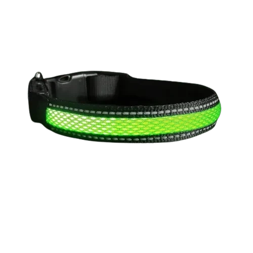 Collier vert en nylon avec lumière Led pour chien