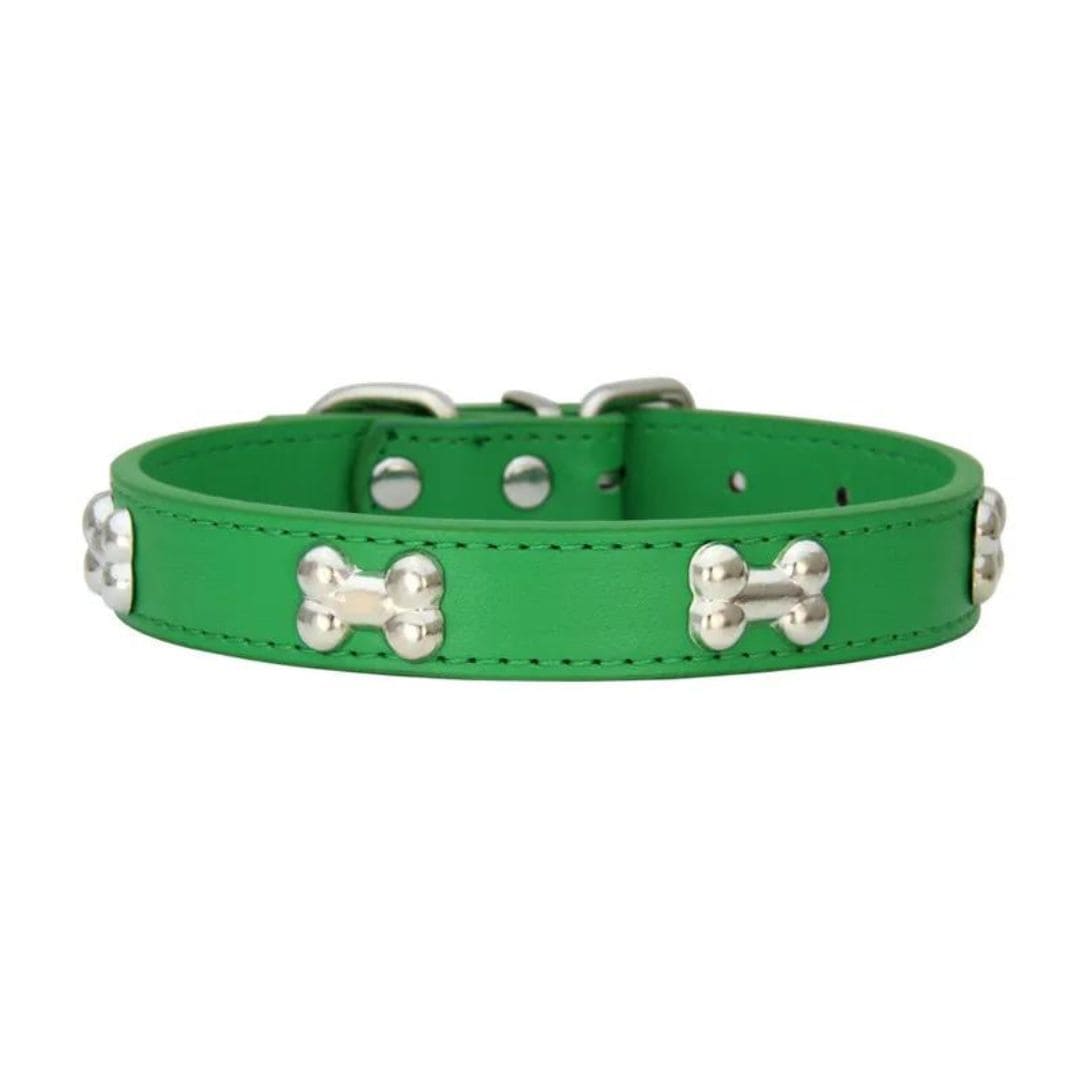 Collier vert à motifs os pour chien et chat