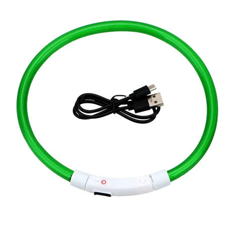 Collier à LED vert pour chien