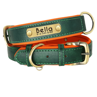 Atos™ : Collier en cuir premium pour chien personnalisable
