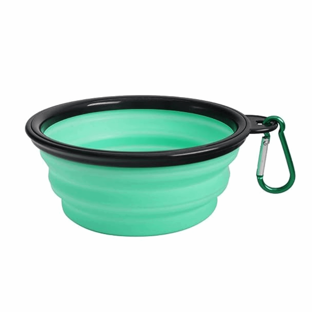 Gamelle de voyage vert clair pour chien