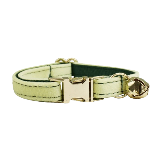 Collier vert clair en velours pour chat