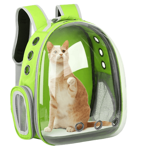 Sac à dos de transport vert clair pour chien et chat