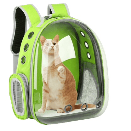 Sac à dos de transport vert clair pour chien et chat