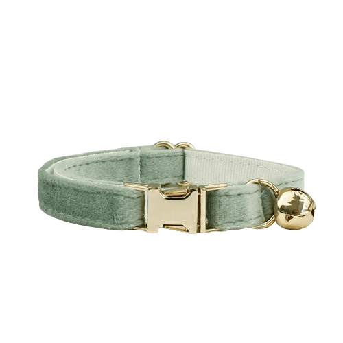Collier vert pastel en velours pour chat
