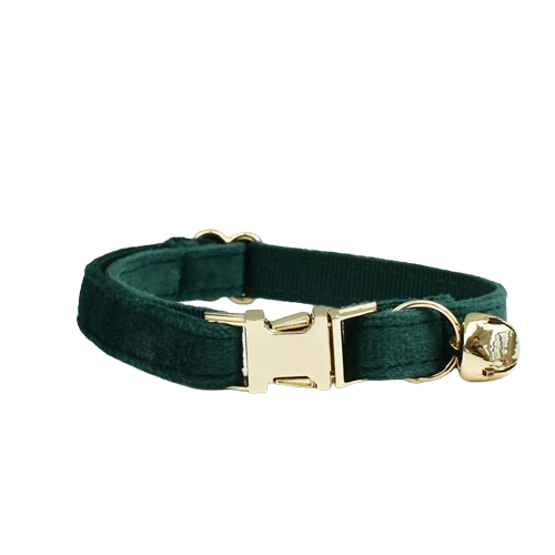 Collier vert sapin en velours pour chat