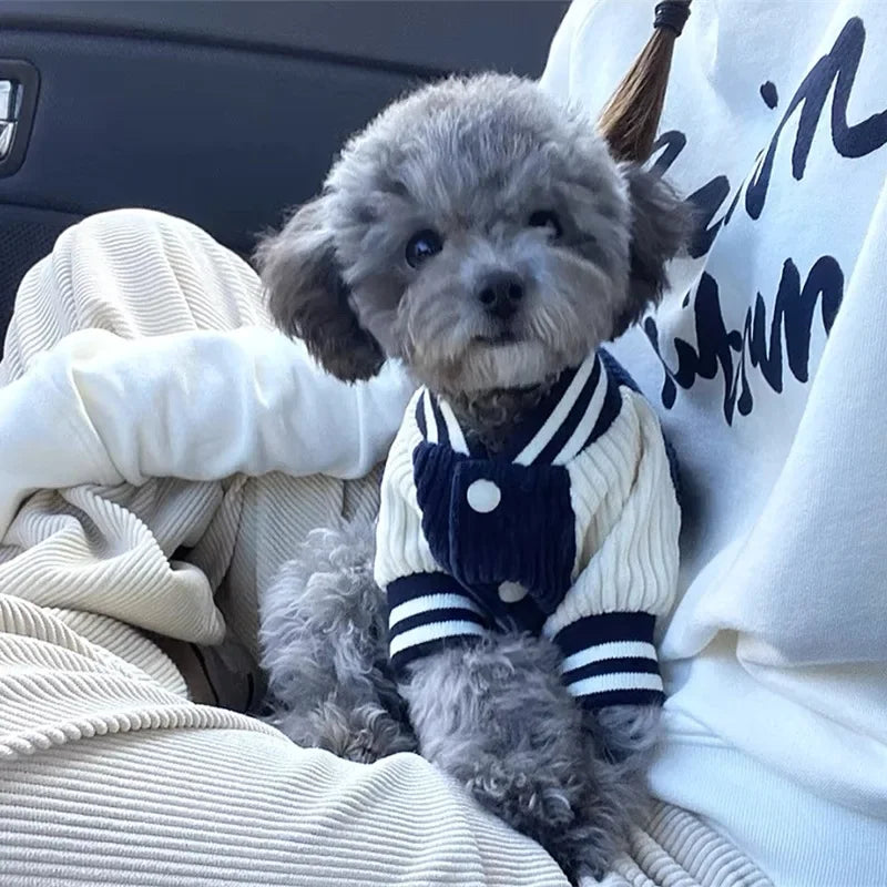 chien avec notre veste Bradley