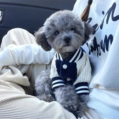 chien avec notre veste Bradley