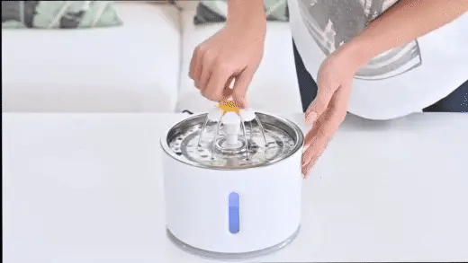 Fontaine à eau ronde avec LED pour chat