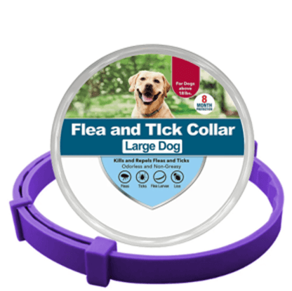 Collier anti-puces et anti-tiques violet L pour chien