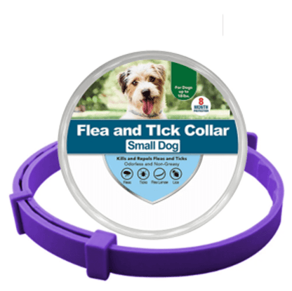 Collier anti-puces et anti-tiques violet S pour chien