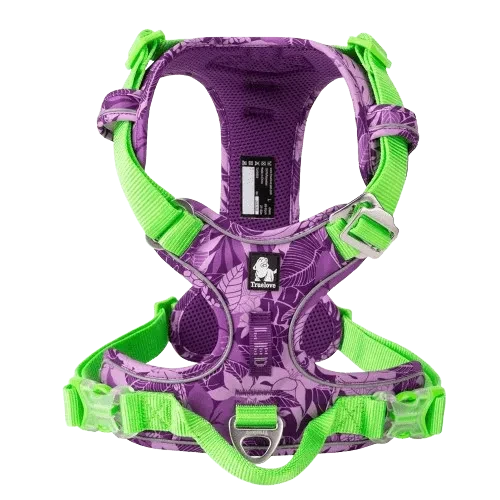 Harnais anti traction violet pour chien - Edition Floral