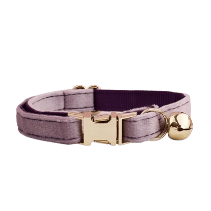 Collier en velours violet pour chat