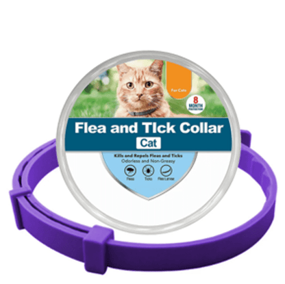 Collier anti-puces et anti-tiques violet pour chat