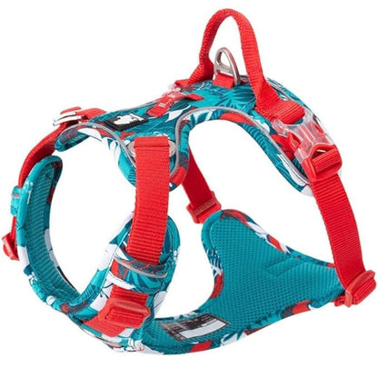 Harnais anti traction pour chien - Edition Floral
