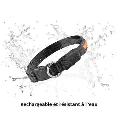 Collier en nylon avec lumière Led rechargeable et résistant à l'eau