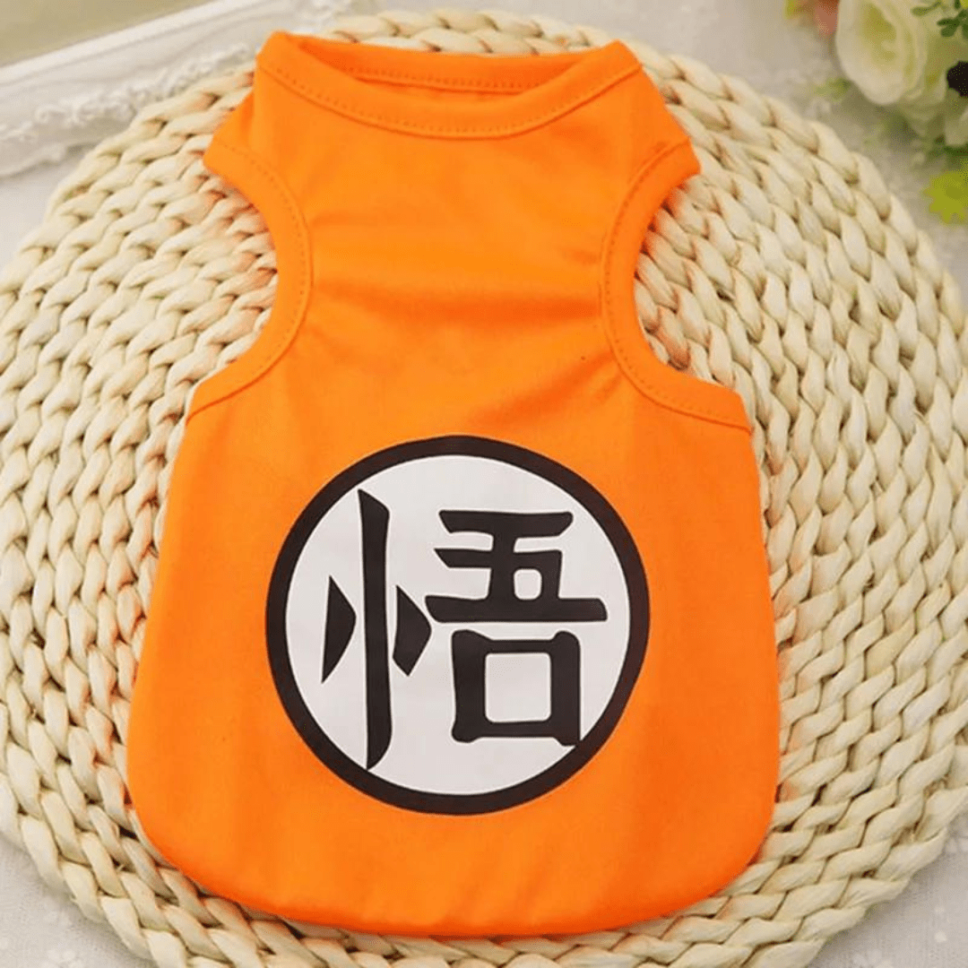 Pull pour chien et chat - Animés