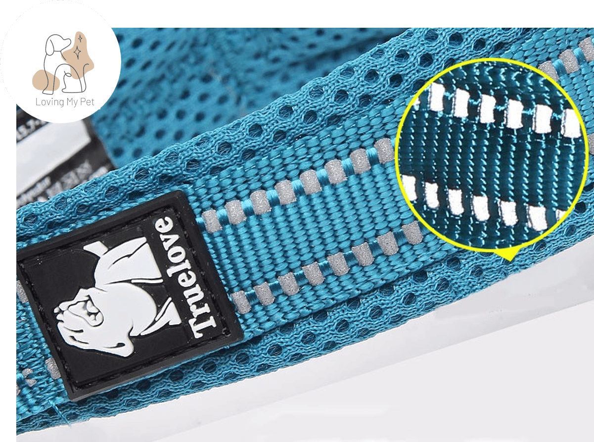 Collier en nylon pour chien réflechissant