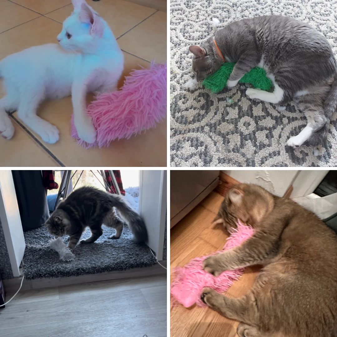 Photos clients de notre peluche couinante pour chat