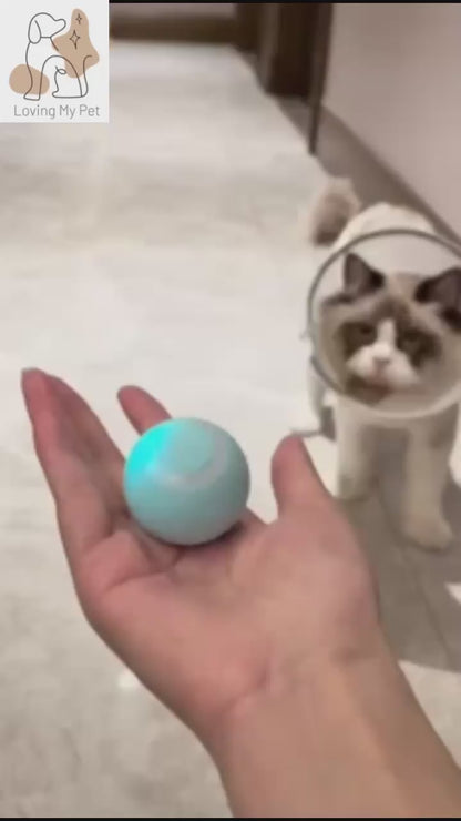 Chat qui joue avec une balle interactive