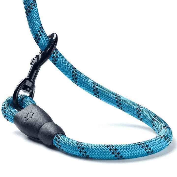 Accroche de la laisse corde en nylon pour chien