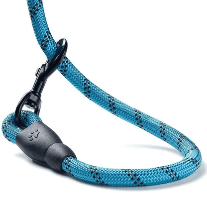 Accroche de la laisse corde en nylon pour chien