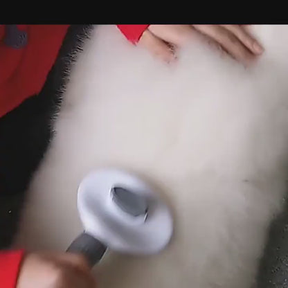 Brosse grise avec poussoir pour chien et chat