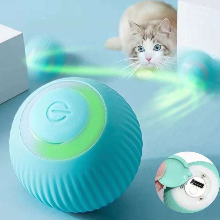 Balle interactive bleue pour chat