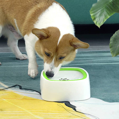 Chien entrain de boire dans un bol anti débordement vert