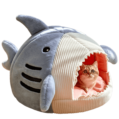 Chat dans un lit en forme de requin 