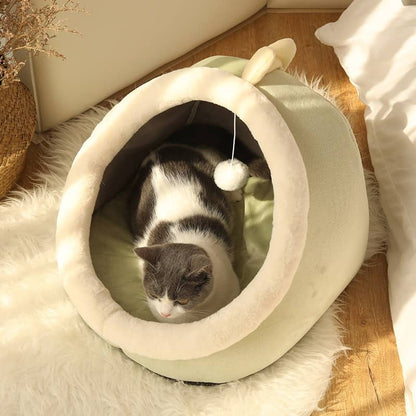 Chat dans un lit en forme de dragon