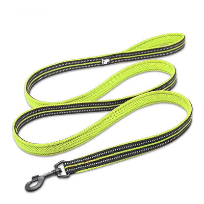 Laisse verte en nylon pour chien
